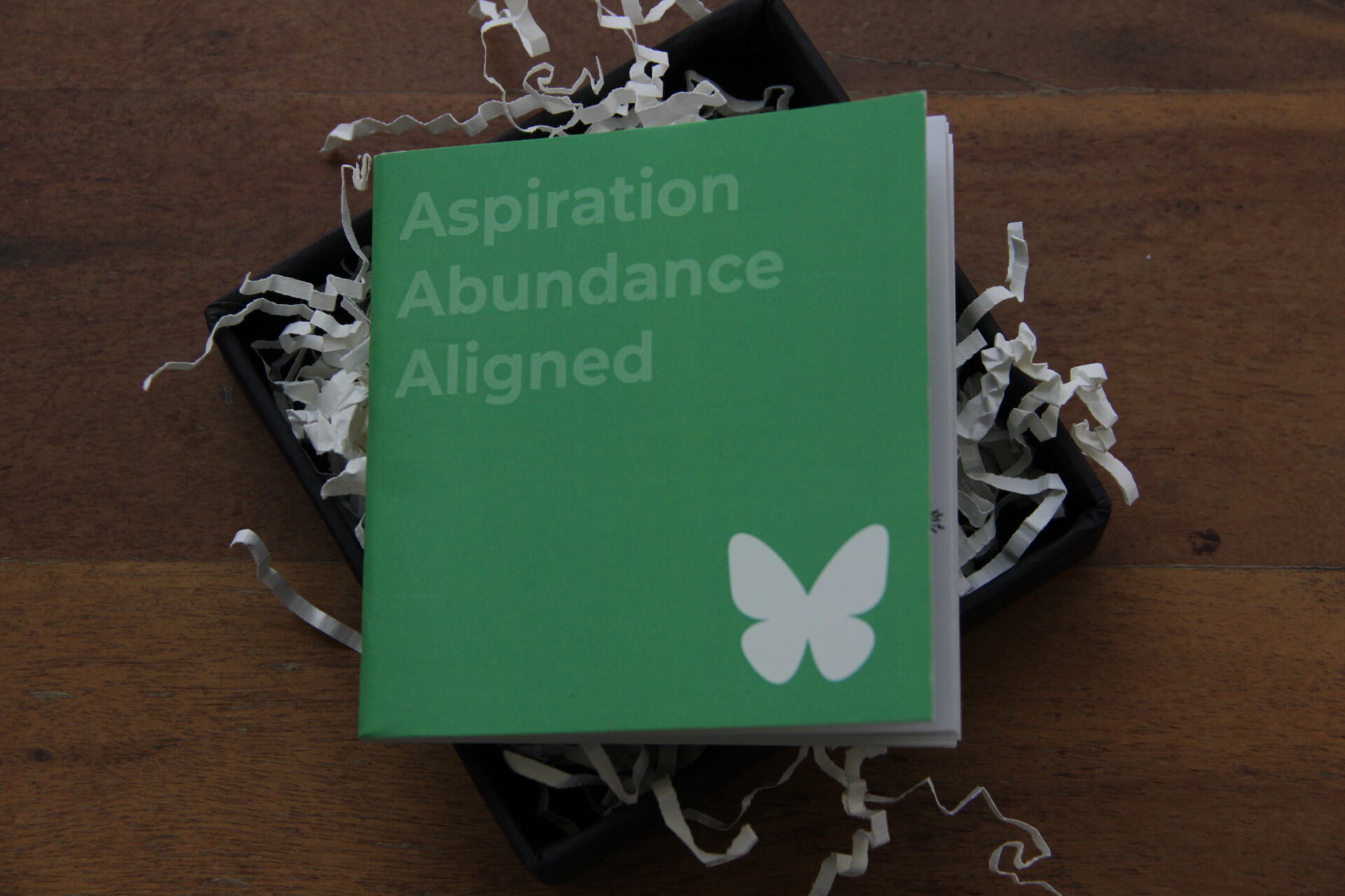 AAA: Aspiration & Abundance Aligned - Image 2
