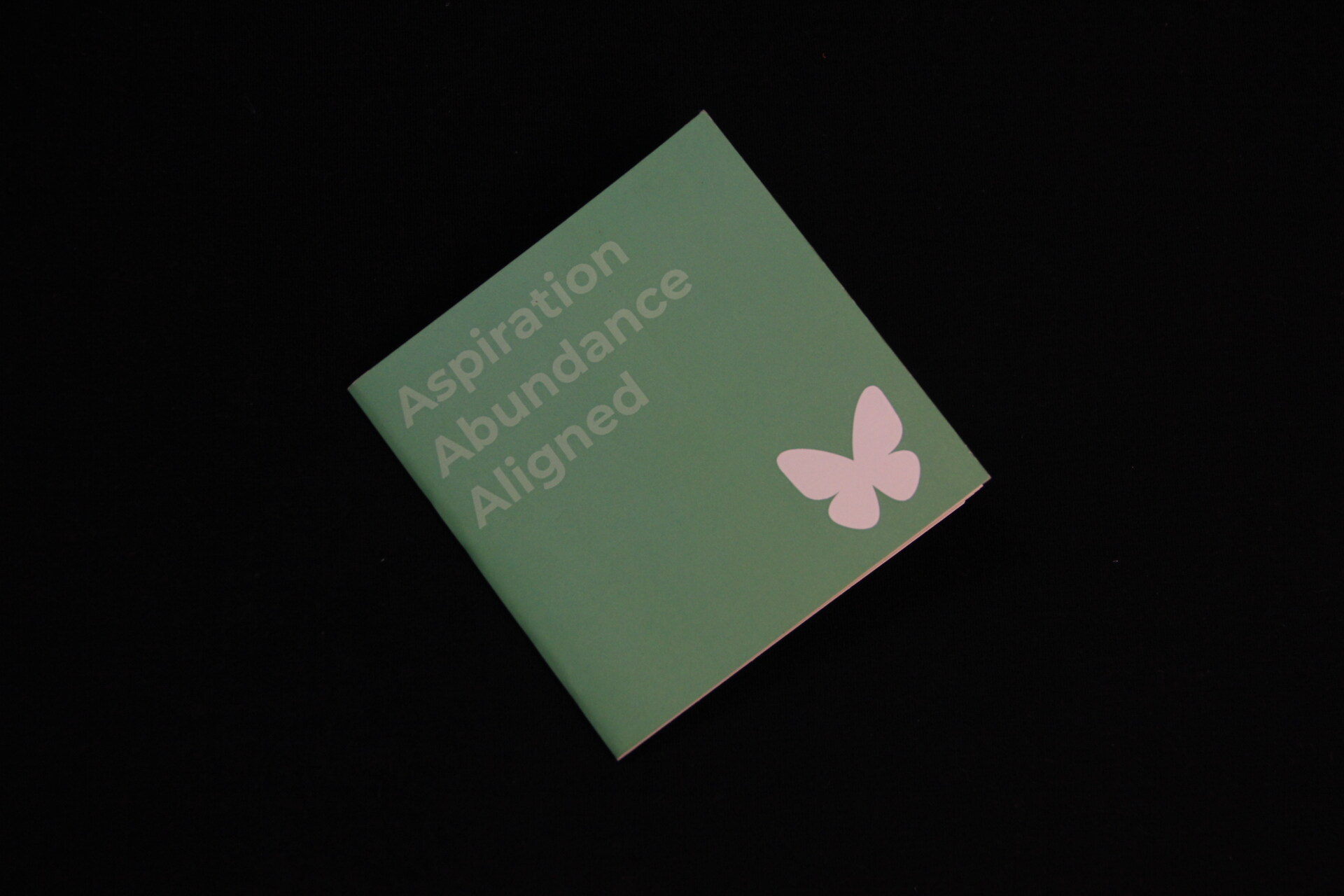 AAA: Aspiration & Abundance Aligned - Image 3