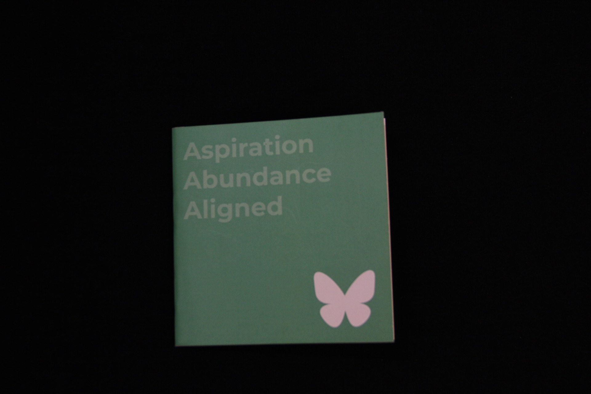 AAA: Aspiration & Abundance Aligned - Image 4