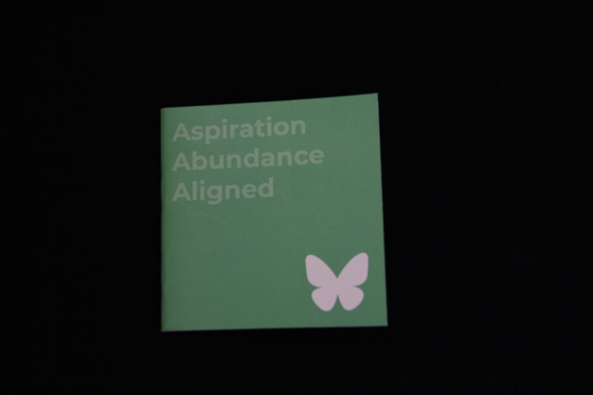 AAA: Aspiration & Abundance Aligned - Image 5