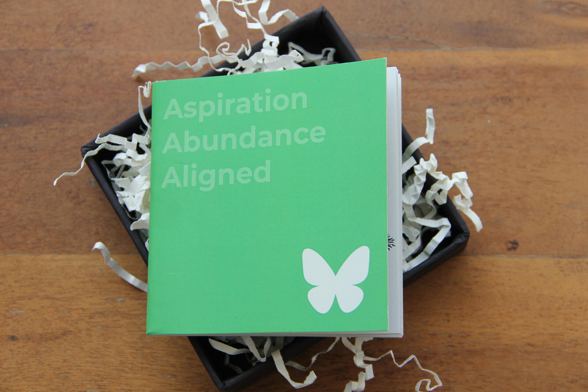 AAA: Aspiration & Abundance Aligned