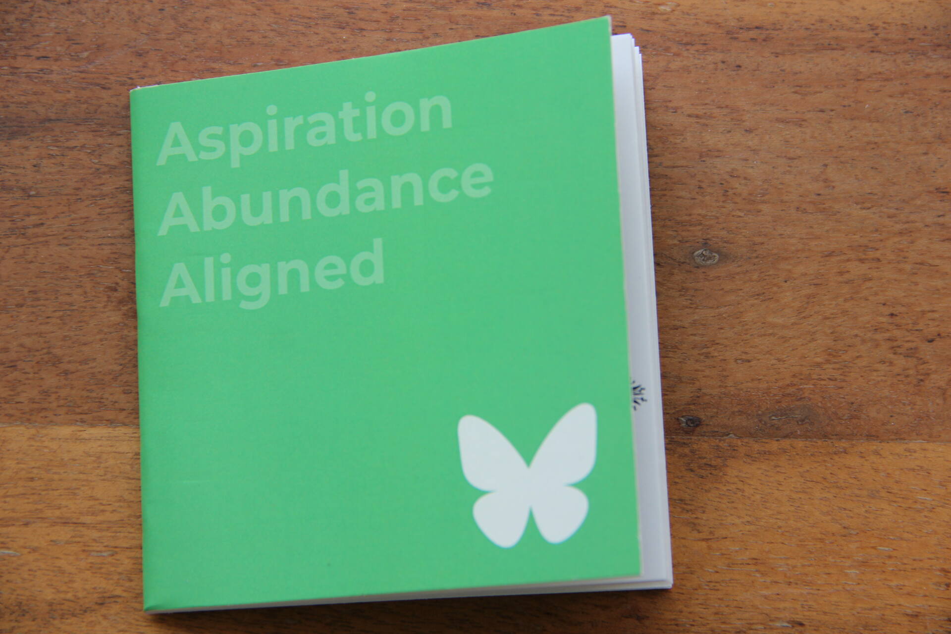 AAA: Aspiration & Abundance Aligned - Image 6
