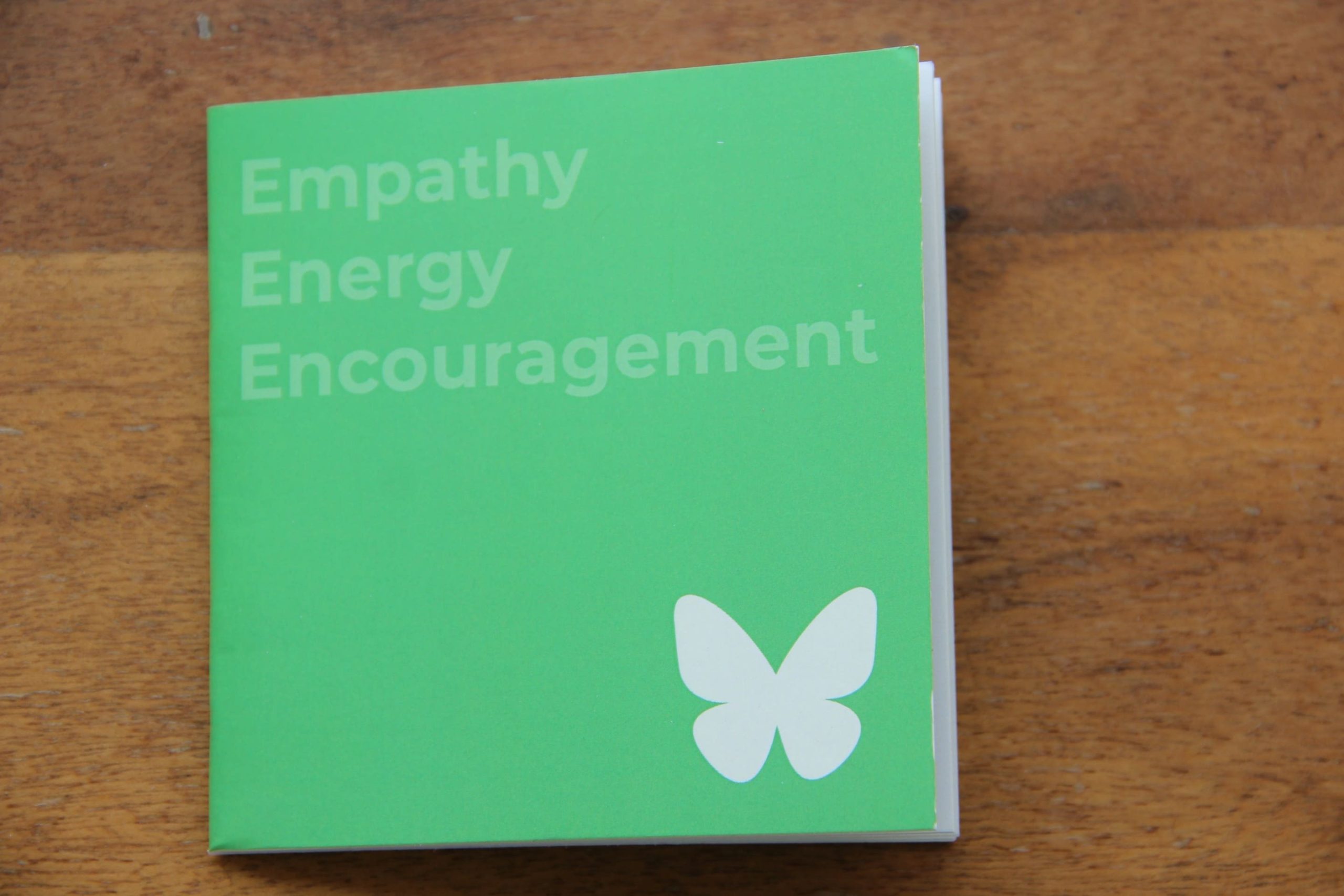 EEE: Empathy, Energy & Encouragement: The Foundations of Meaningful Relationships - Image 3