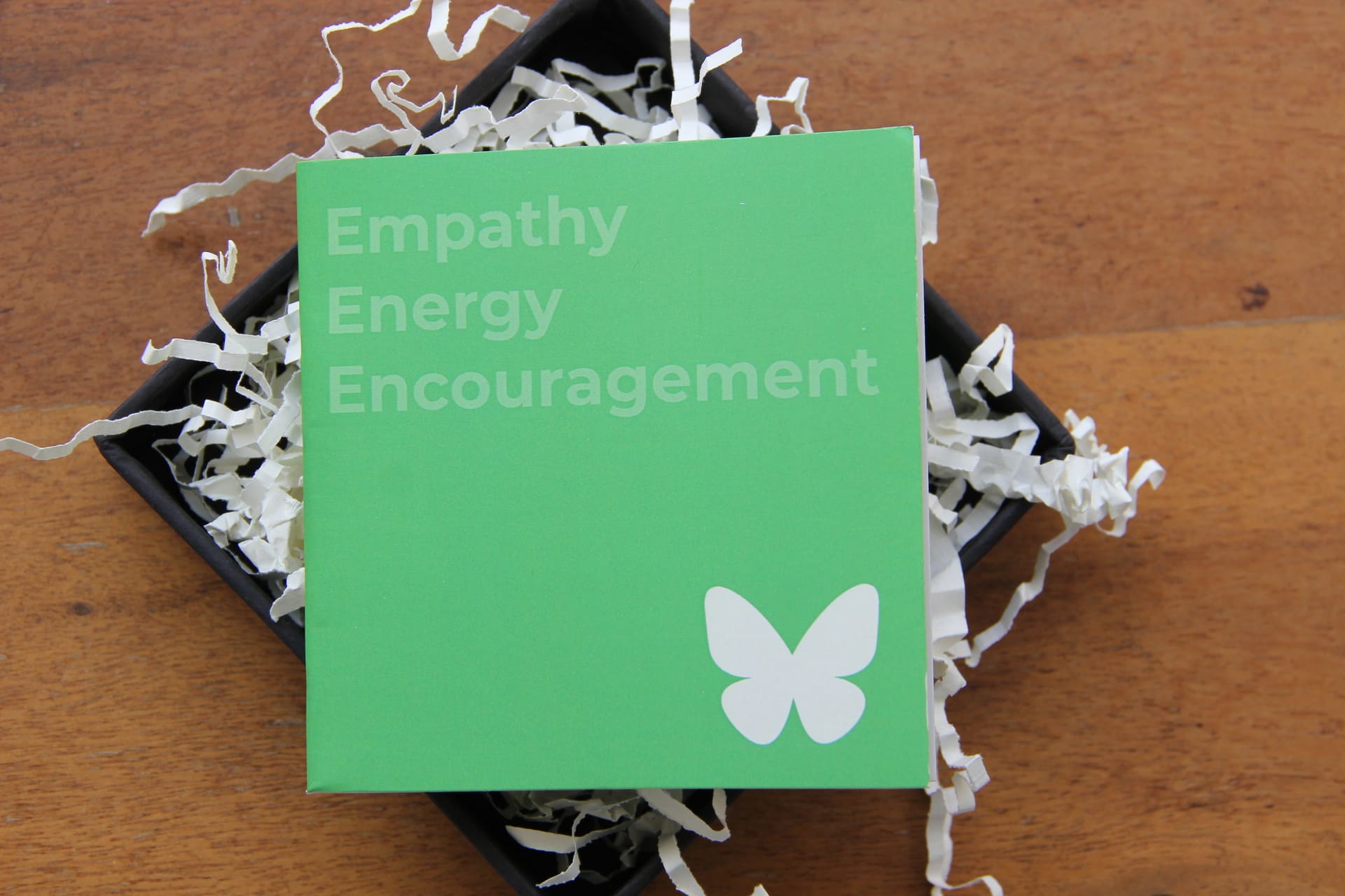 EEE: Empathy, Energy & Encouragement: The Foundations of Meaningful Relationships