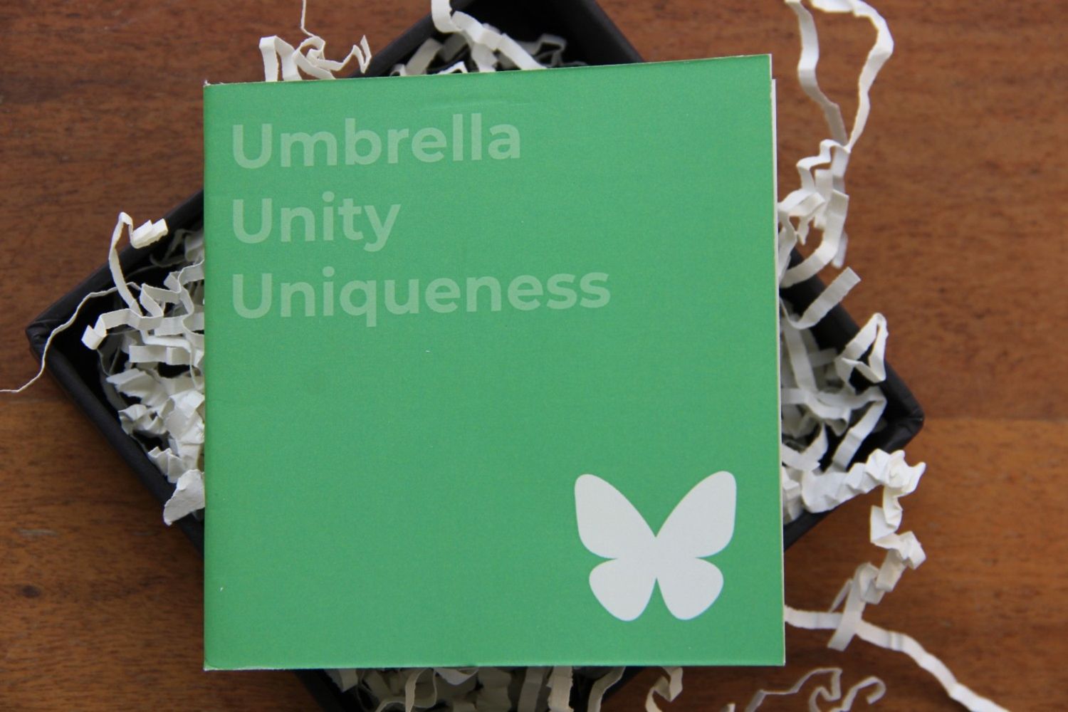 UUU: Umbrella, Unity & Uniqueness: Connected by shared space
